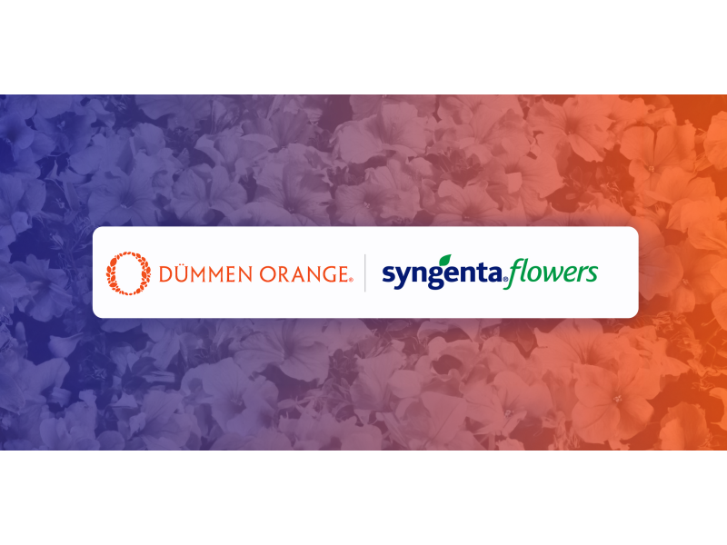 PRESS RELEASE: Dümmen Orange and Syngenta Flowers sign agreement to form joint venture in ornamental breeding and propagation
