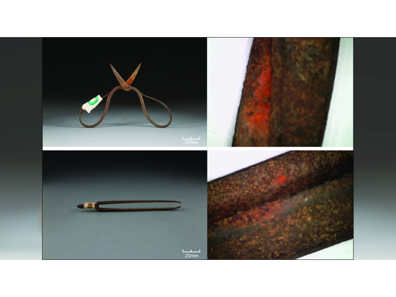 Chinese medical practitioners used extremely toxic plant as a topical anesthetic 600 years ago, study finds | Live Science