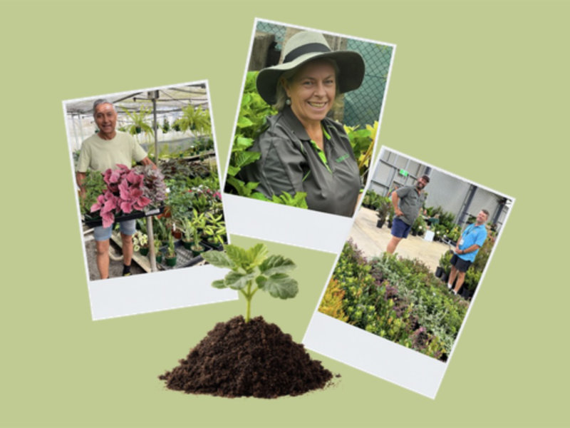Nursery industry journal welcomes contributions