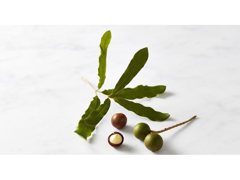 Sourcing sustainability: Why Australian macadamias offer a natural ingredient advantage - Australian Macadamias