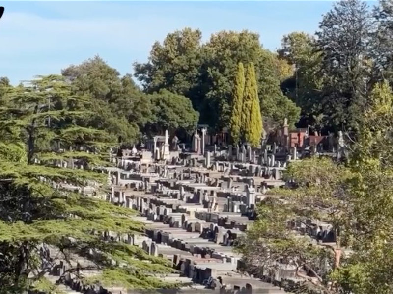 Reimagining cemeteries from sacred grounds to dynamic urban spacesRMIT University