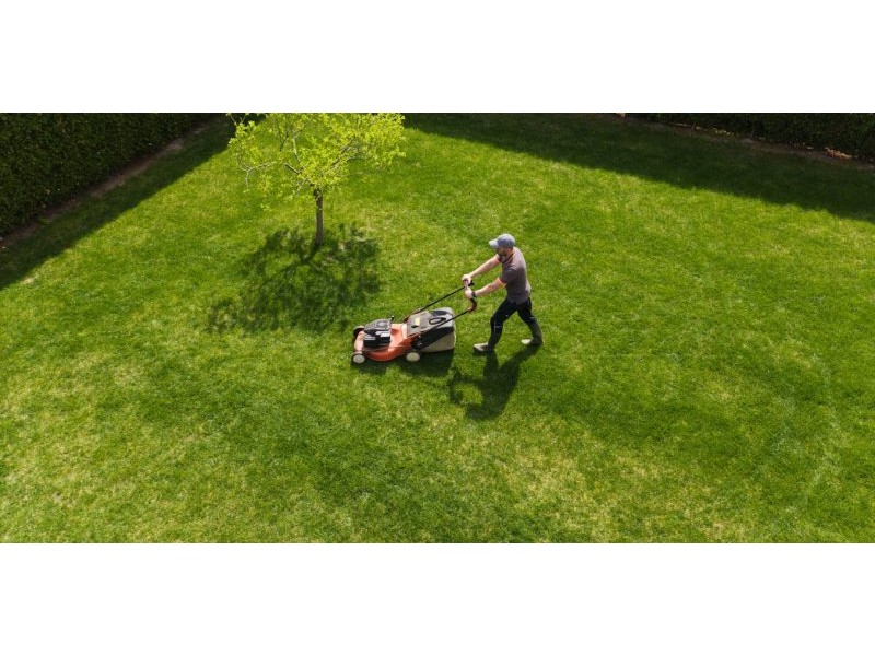 Mowing the lawn: the colonial ghosts haunting our suburban ritual