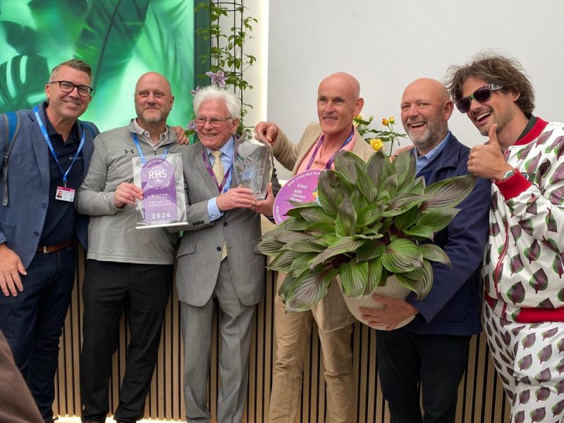 Winner of the coveted RHS Plant of the Year award announced at Chelsea Flower Show 2026 | Gardens Illustrated