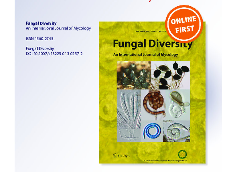(PDF) What are the common anthracnose pathogens of tropical fruits?