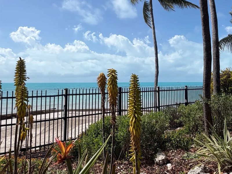 Key West Garden Club 