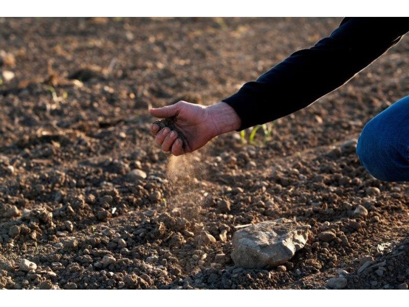 A warm, dry April drains Europe's soils as farmers head into summer 2026 | Wikifarmer