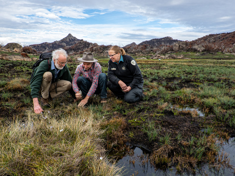 Cate Blanchett backs Australia’s seed banks as ‘enduring beacons of hope’