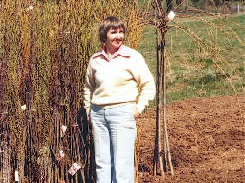 Vale Dawn Fleming