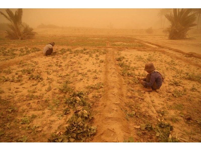 How farmers are turning to nature to survive a hotter climate