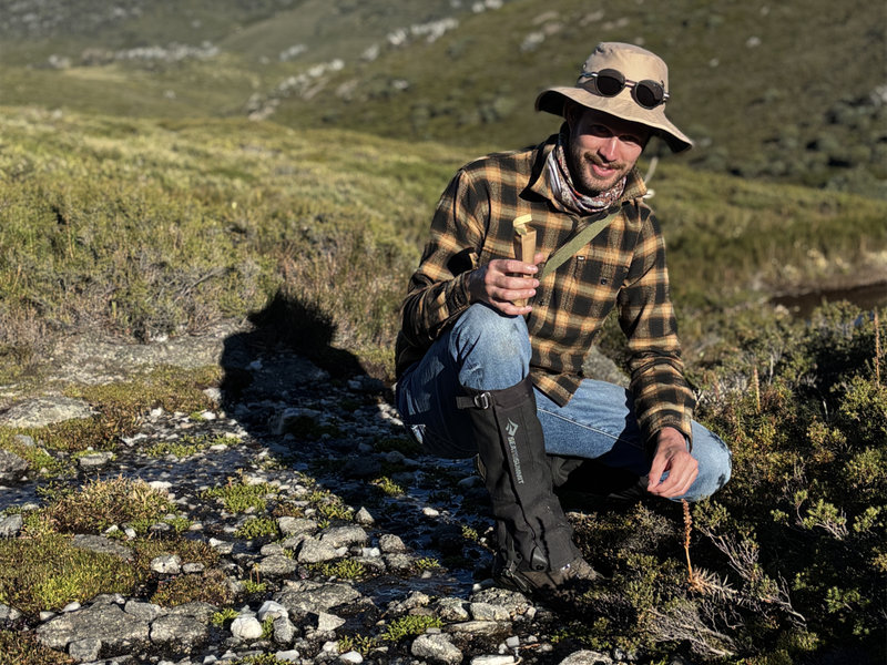 Seeds under pressure: New study reveals how climate change threatens Victoria’s alpine plant populations.