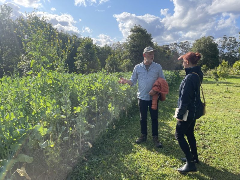 New digital toolkit to tackle pest management - CSIRO