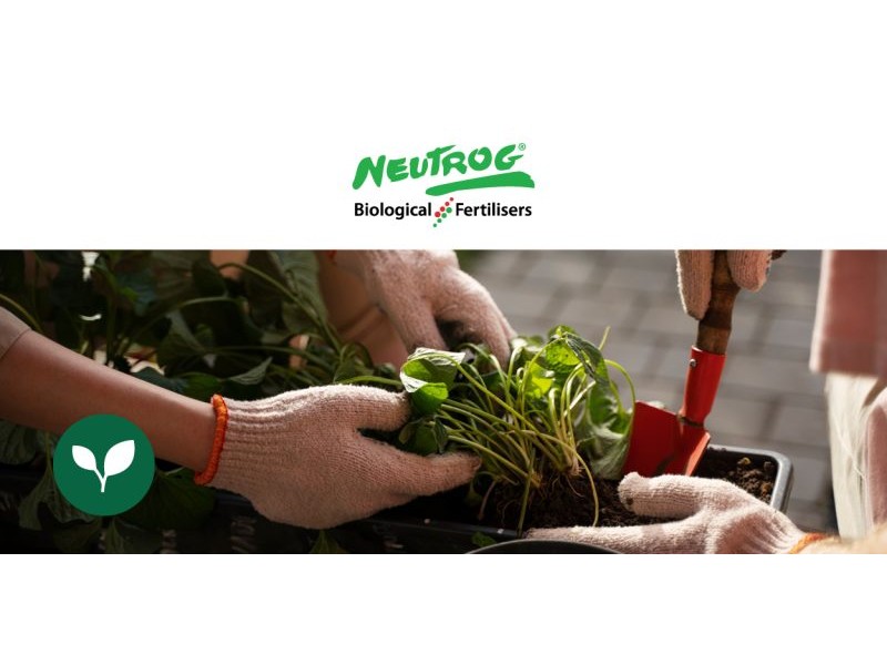 Neutrog News: June/Winter is here!