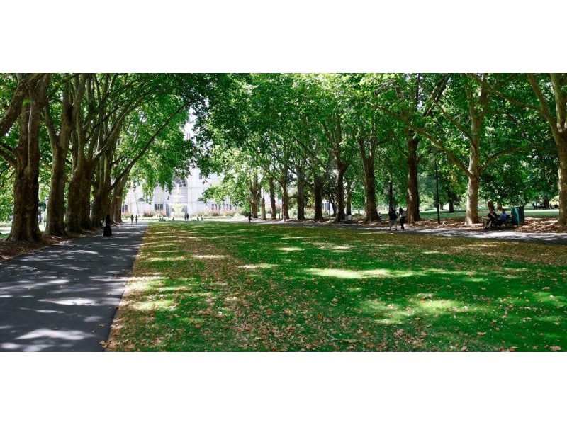 Trees and greenery can cool cities by as much as 18°C – but only if they’re the right type