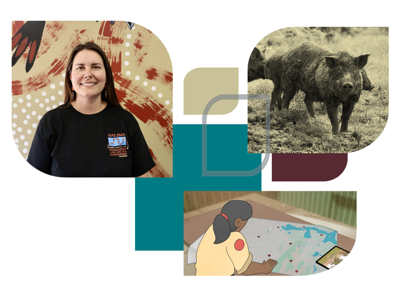 Environmental Biosecurity webinar: Protecting Country Against Invasive Species Program
