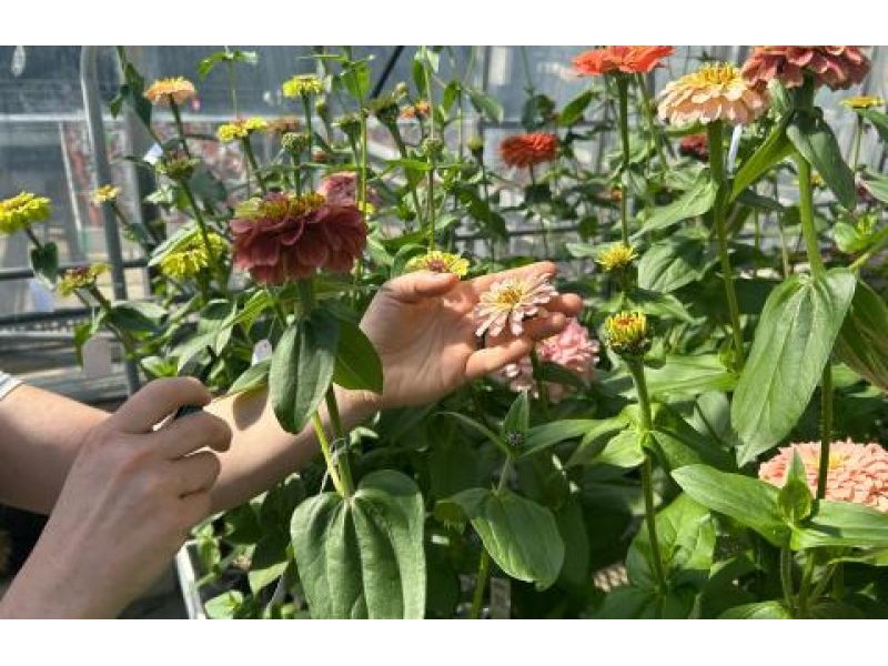 Seeds of a Strong Partnership | University of New Hampshire