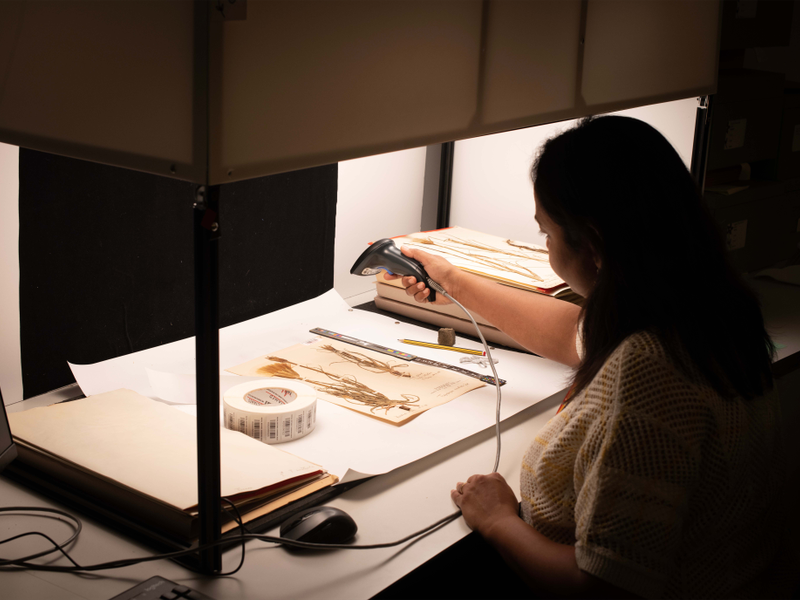 AI and digitisation transform fight against global extinction, landmark report reveals