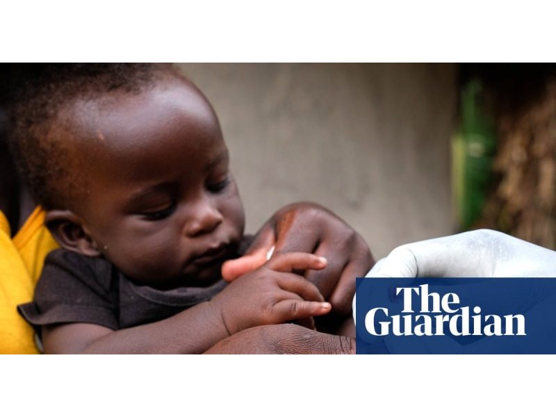 Catnip lotion as effective as Deet at repelling mosquitoes, study finds | Global health | The Guardian