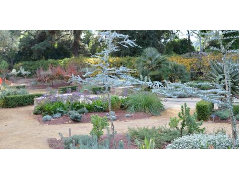 Climate-Smart Gardening at Adelaide Botanic Garden