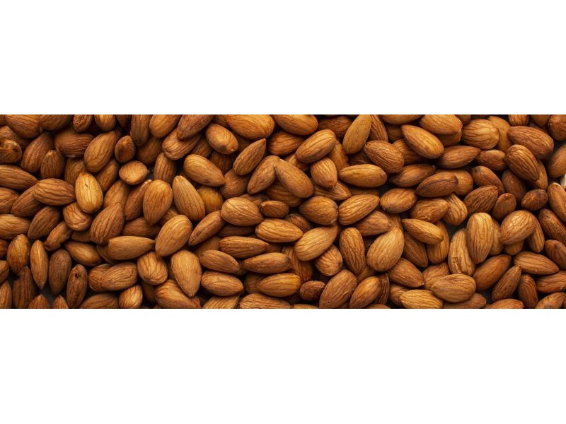 Key culprit named but no quick fix for almond tree decline – Queensland Alliance for
Agriculture and Food Innovation – University of Queensland