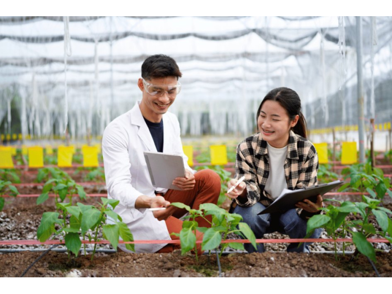 EU adopts new genomic technique rules, splitting gene-edited plants into two categories | Wikifarmer