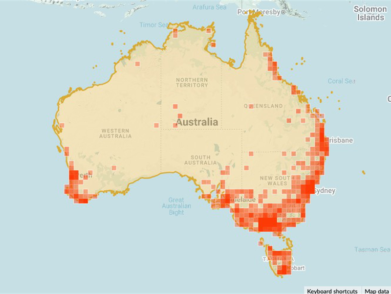 Join the Great Aussie Fungi Hunt 2026