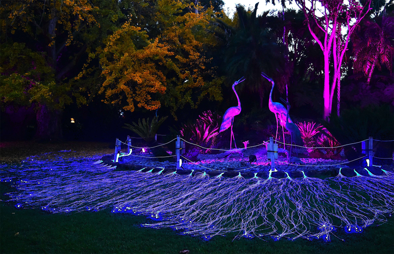 Lighting up the garden in winter