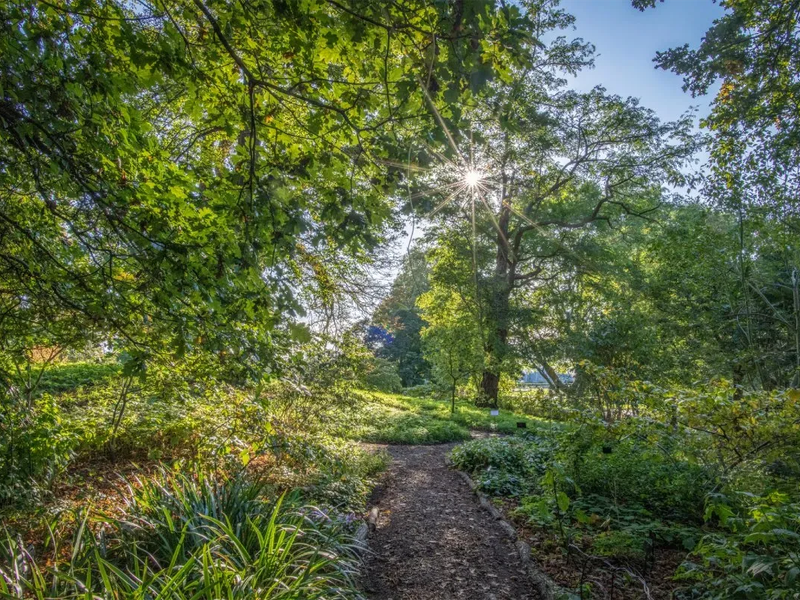 Kew Gardens