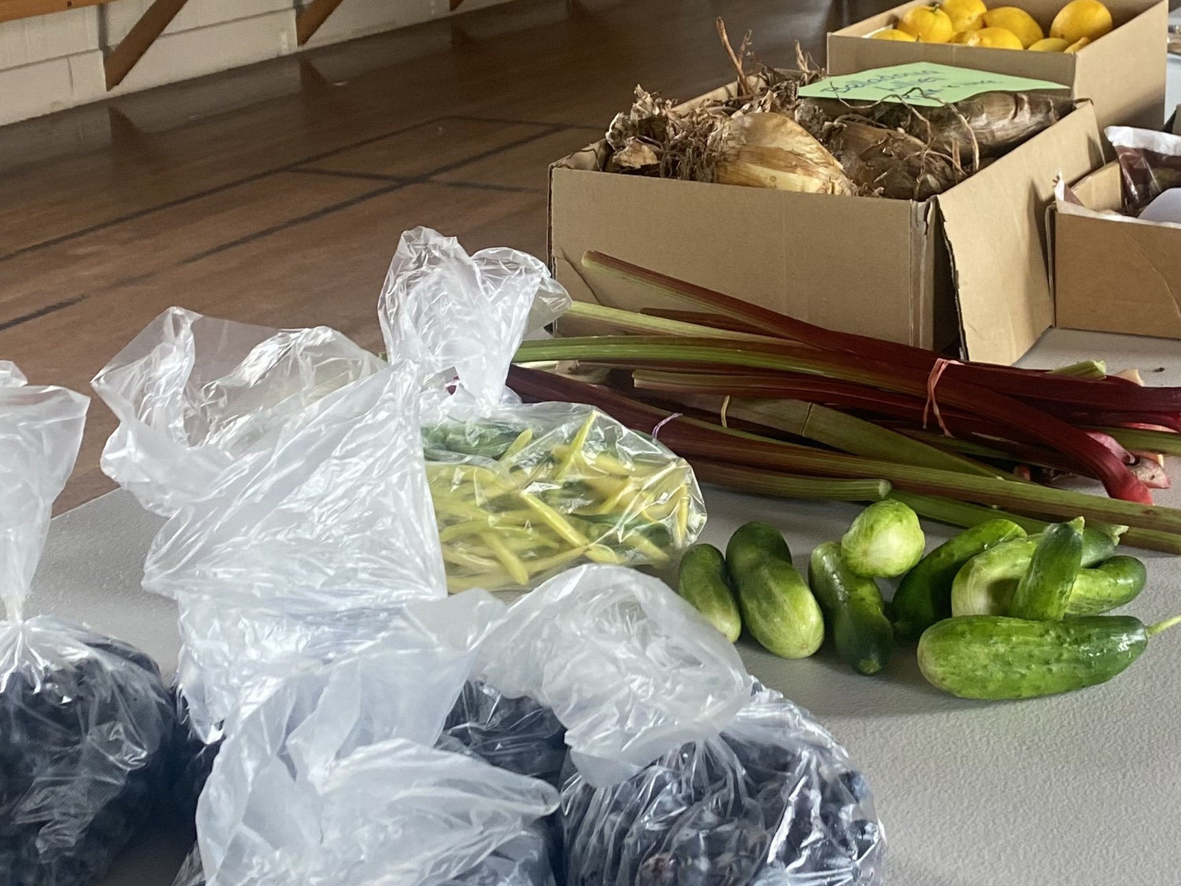 People power gets results for Tasmanian gardeners