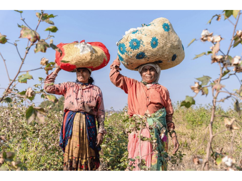 Women hold weaker land rights than men | Wikifarmer