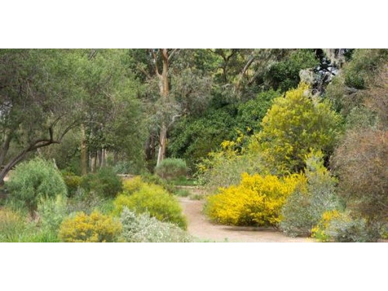 Tickets for In Conversation – Climate readiness to support our gardens to thrive!