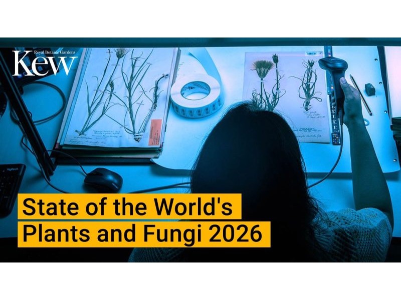 State of the World’s Plants and Fungi 2026 – YouTube
