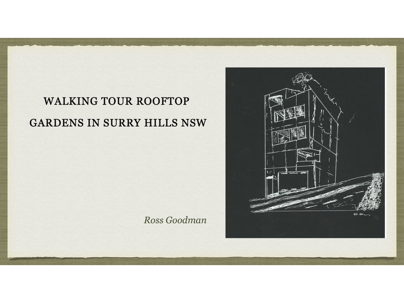 Roof top garden walk