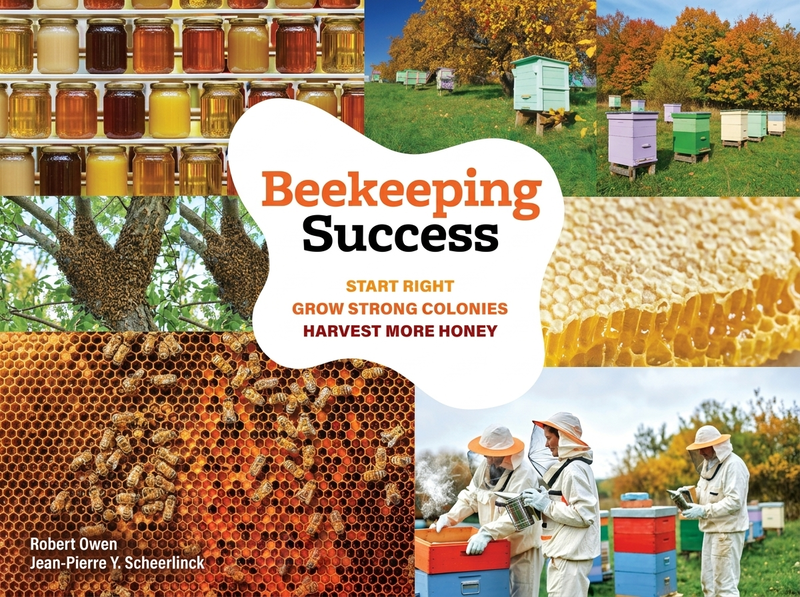 Watch Now: Beekeeping Success – HMAA Free Webinar