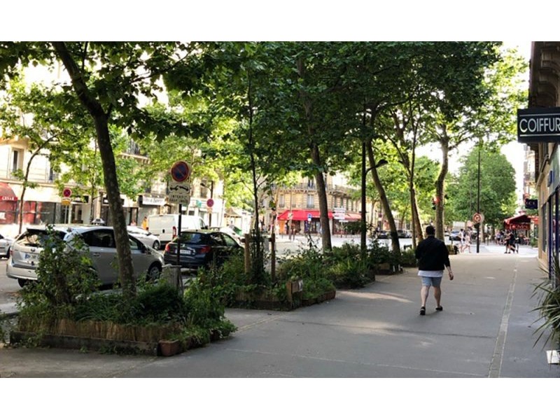 Community participation in urban greening