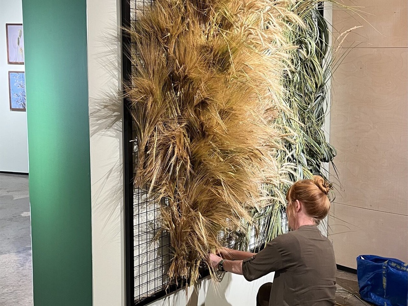 Grasslands exhibition in Scotland