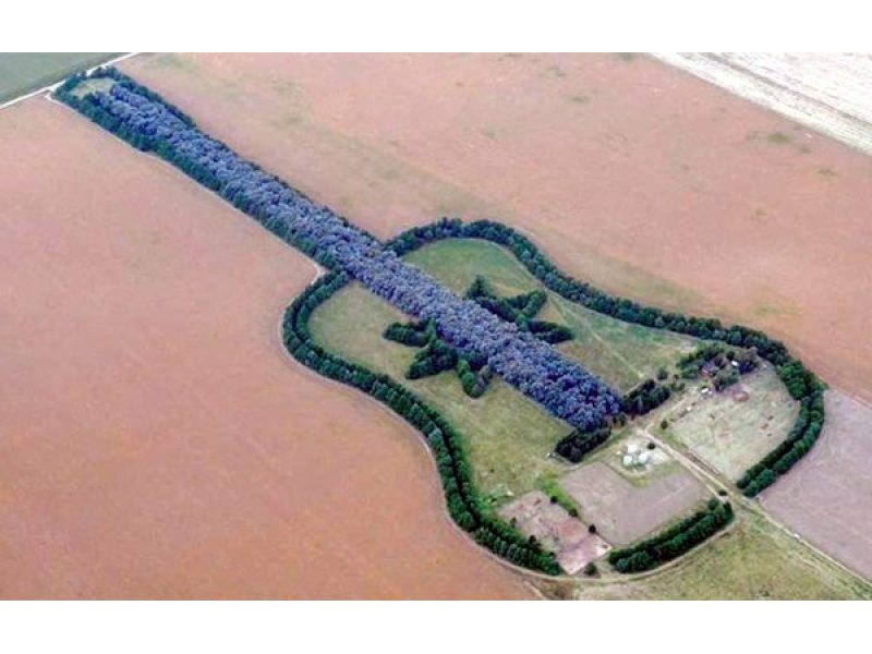 Pedro Martín Ureta’s Forest Guitar in General Levalle