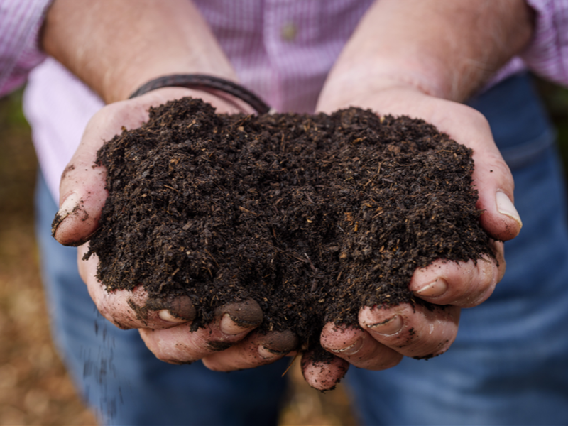 Meet our HMAA Laurels naming rights sponsor: Neutrog Biological Fertilisers