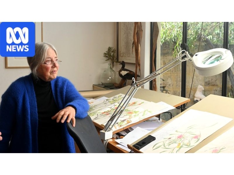 Botanical illustrations by women shape our knowledge of Australia's flora - ABC News