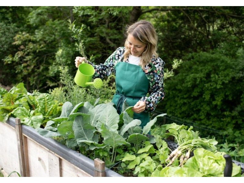 Home gardens reduce risk of type 2 diabetes – The University of Queensland