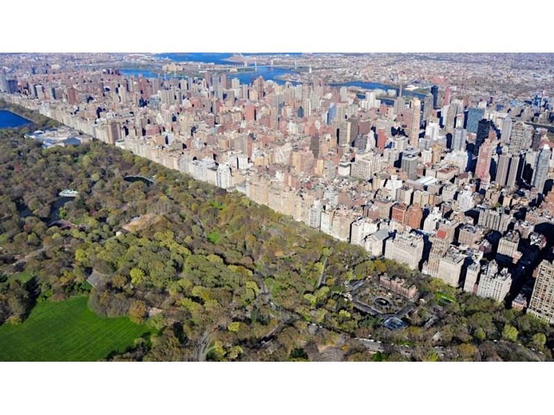 The NYC Cool Trees Project: urban forestry against extreme heat Webinar