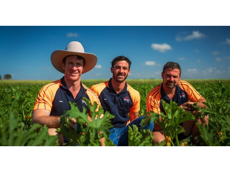 Pirrone Brothers: Zucchini vodka global award elevates North Queensland growers’ brand