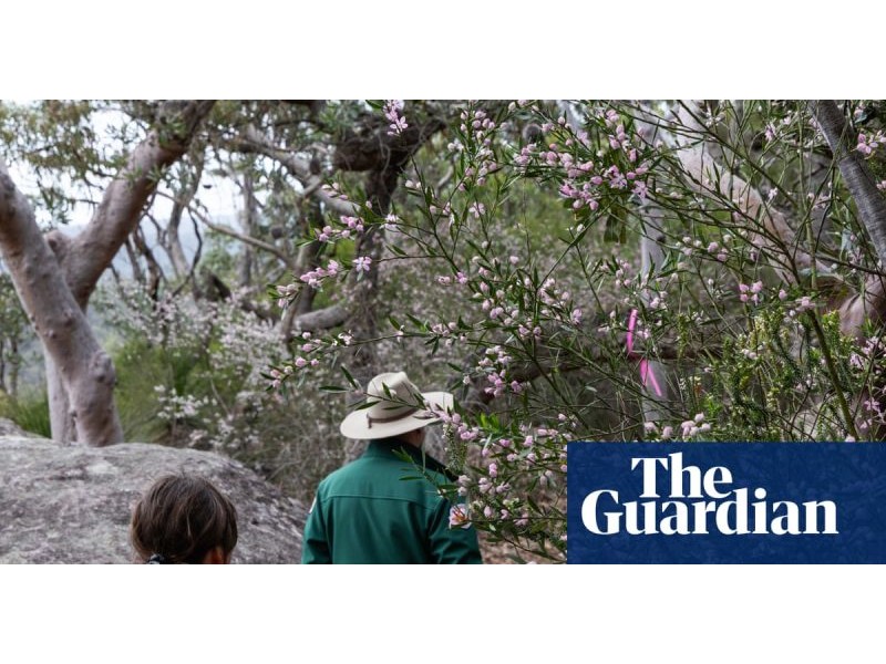 This wildflower paradise is only open six weeks a year. As soon as I entered, my mind started to calm | National parks | The Guardian