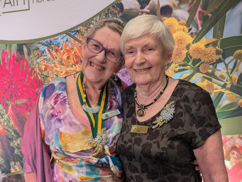 HMAA members honoured by AIH with special awards