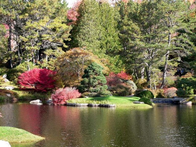Asticou Azalea Garden in Northeast Harbor