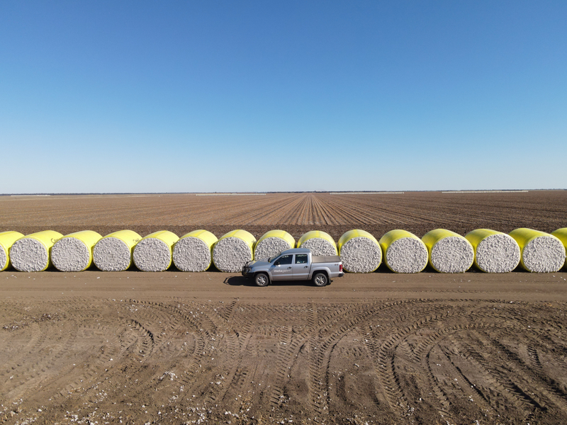 Key partnership drives Metagen’s cotton expansion