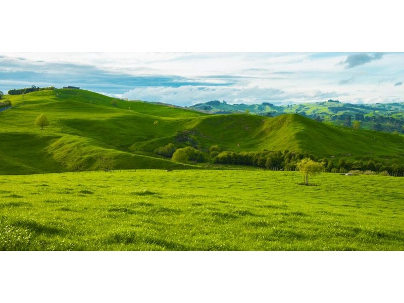Imported phosphate for fertiliser is expensive – could this homegrown alternative be a solution?