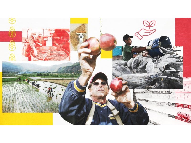 'The apple you eat isn't the apple your granddaughter will eat': What's on the menu in a warming world? | Live Science