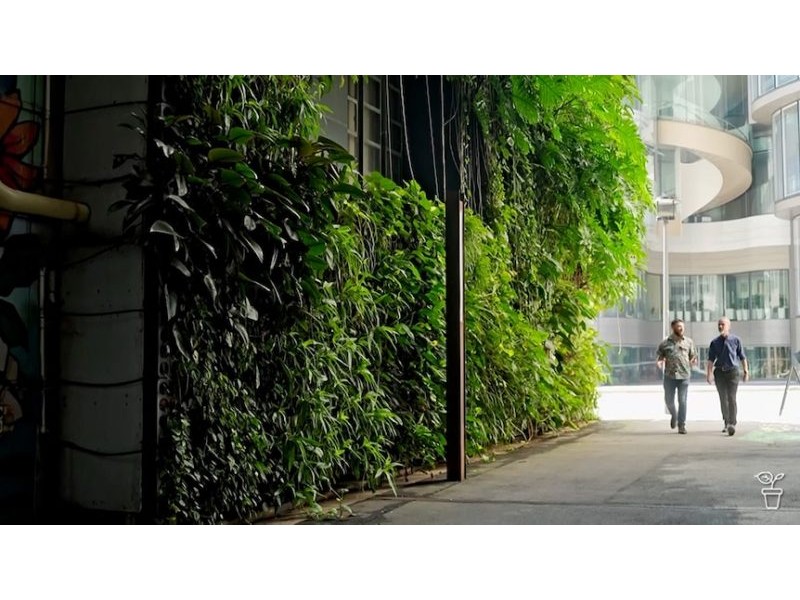 Plants to the Rescue – Gardening Australia