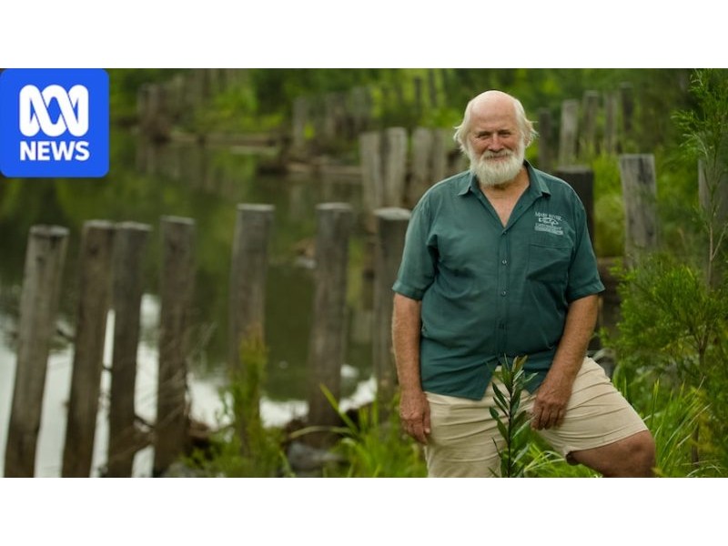 Mary River proves Australia's most degraded catchments can be restored - ABC News