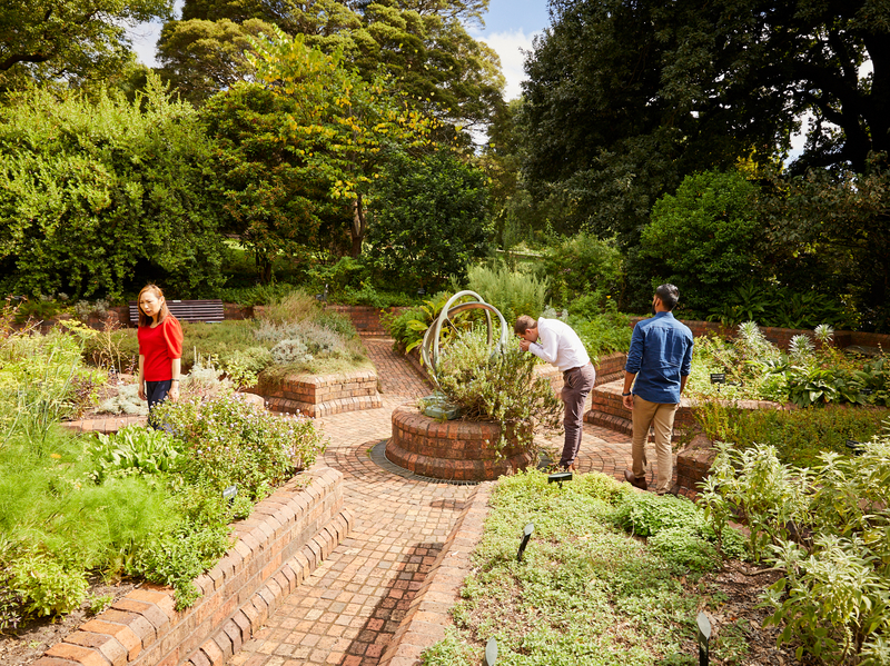 How a Victorian-era herb garden continues to inspire present day curiosity at Royal Botanic Gardens Melbourne.